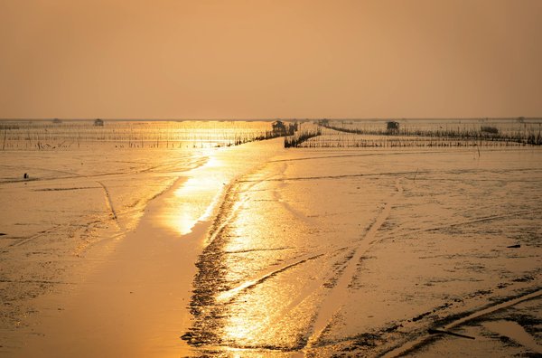Vacaciones Inolvidables para el Turista Aventurero