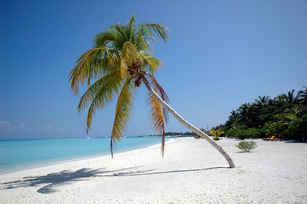 Â¡Escapada Inolvidable! Descubre Nuestras Ofertas Especiales de Turismo y